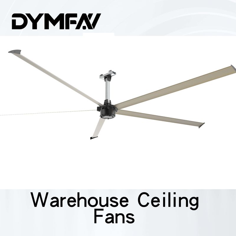 Hvls Industrial 20ft Big Ass Ceiling Fan 220V 380V